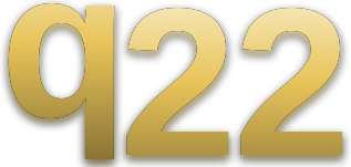q22 logo